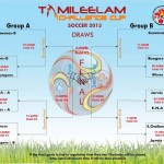 Online Poll: Which Team Will Win Tamileelam Challenge Cup 2013? 