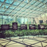 Thazhumbakam visits City of Markham! 