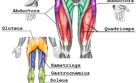 RFT: Iron in Heels - How to Achieve That Booty!
