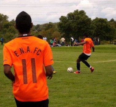 Professional Sports: A Dream in the Making